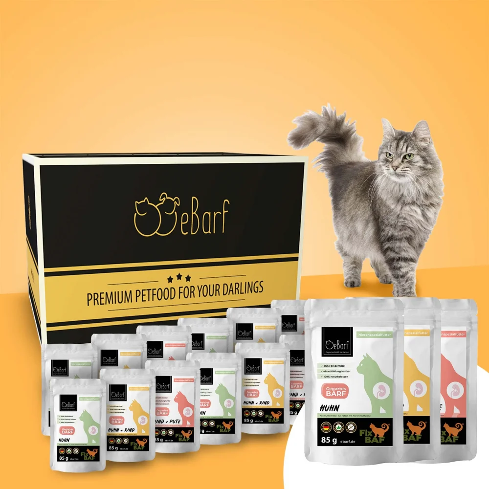 Fix-BAF® Monthly Package Renal Special (Wet Food)