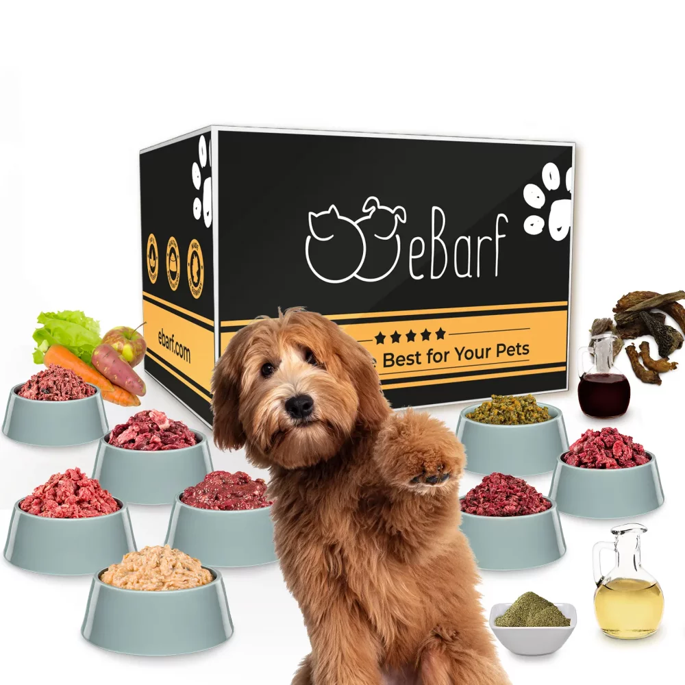 Das mittlere BARF-Starterpaket