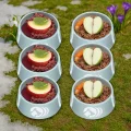 Sæsonmenu-pakke