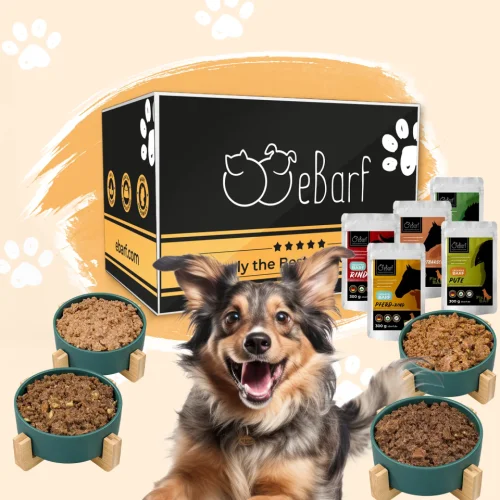 Webinar-Paket für Hunde (gegart)