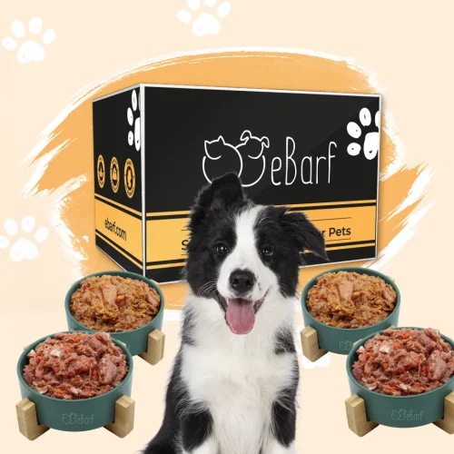 Webbinariepaket för hundar (rått)