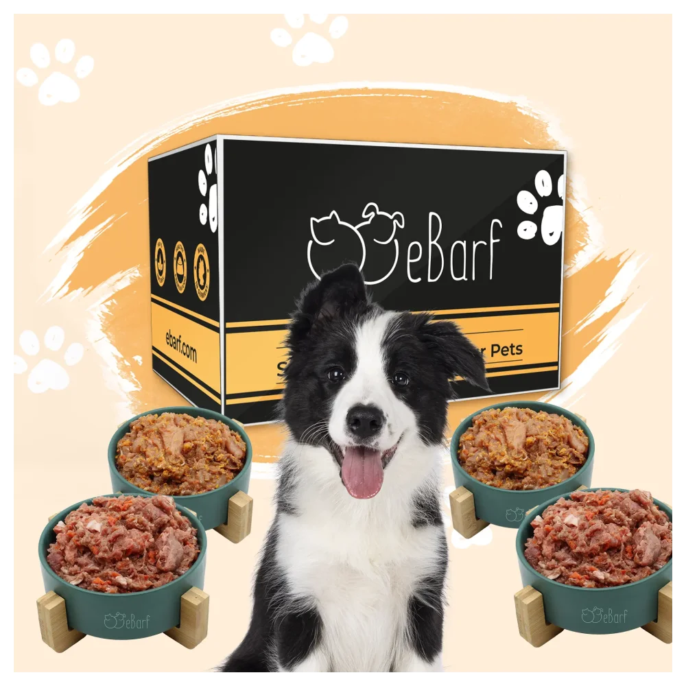Forfait webinaire pour chiens (cru)